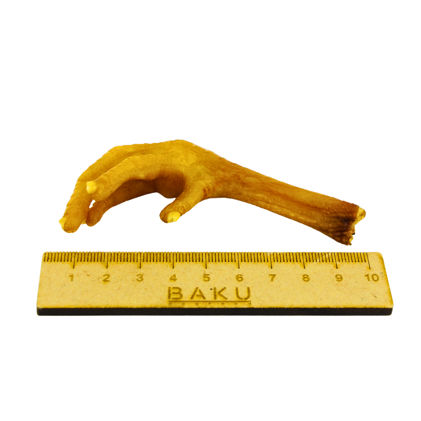 BAKU dogfood Hühnerfuß mit Lineal
