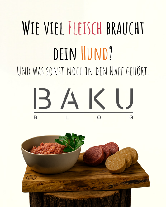 wie viel Fleisch braucht dein Hund?