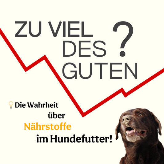 🌿 Zu viel des Guten? Die Wahrheit über Nährstoffe im Hundefutter!