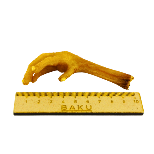 BAKU dogfood Hühnerfuß mit Lineal