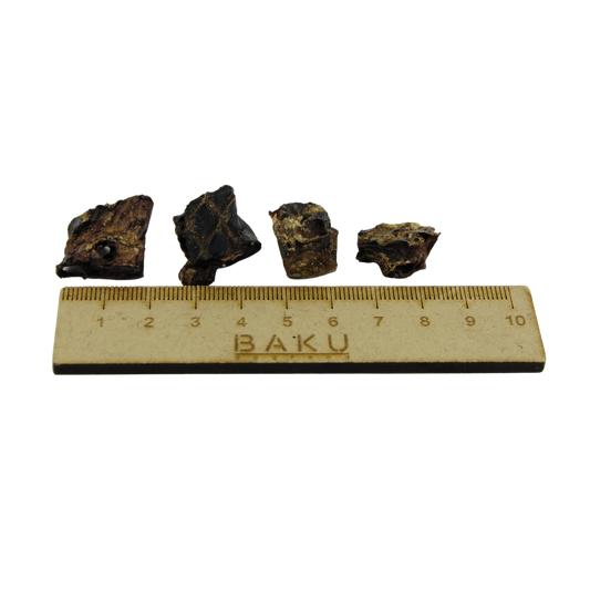 Leckerlie - Rinderlungen Minis mit Lineal