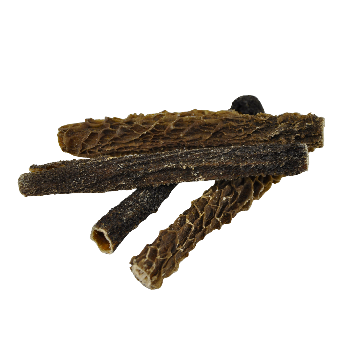 BAKU dogfood Rinderpansen