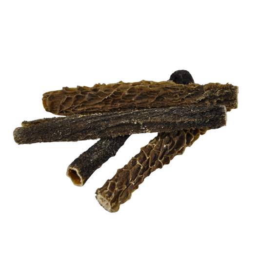 BAKU dogfood Rinderpansen