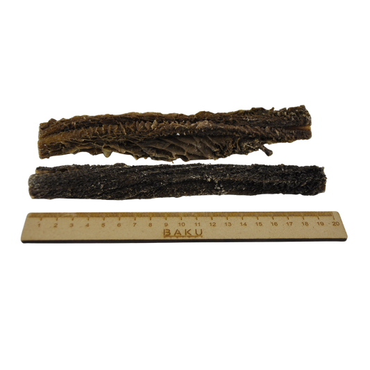 Rinderpansen mit Lineal